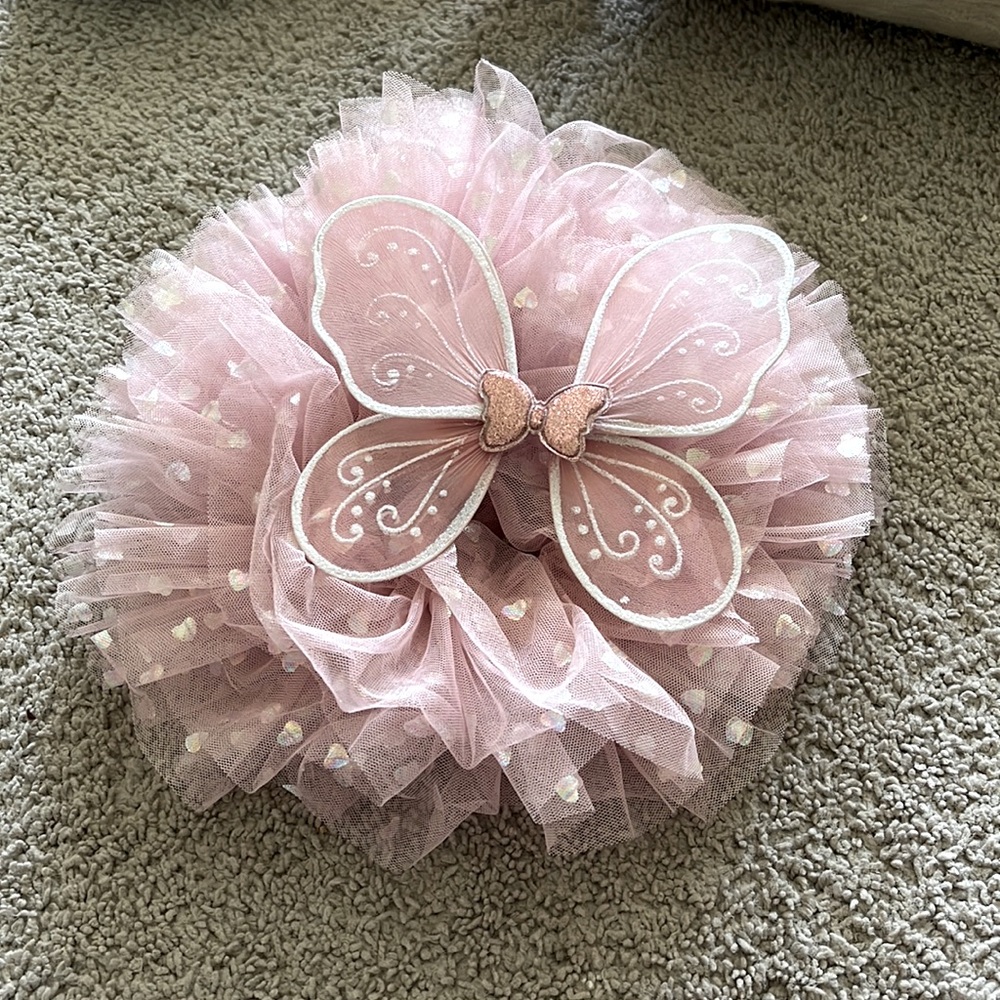 Tutu and butterfly wings!